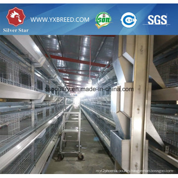 H Type Poultry Equipment for Broilers